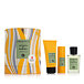 Acqua Di Parma Colonia Futura EDC 100 ml + DEO ve spreji 50 ml + SG 75 ml UNISEX