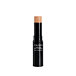 Shiseido Perfecting Stick Concealer Long-Lasting 5 g