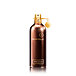 Montale Paris Aoud Forest EDP 100 ml UNISEX