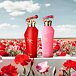 Zimaya Hawwa Pink EDP 100 ml W
