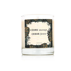 Panier des Sens Cedar Forest parfémovaná svíčka 275 g