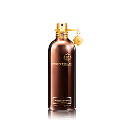 Montale Paris Aoud Forest EDP 100 ml UNISEX
