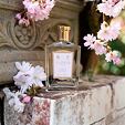 Floris Cherry Blossom EDP 100 ml W